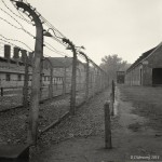Auschwitz I, 2014