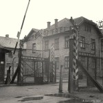 Arbeit macht frei, 2014