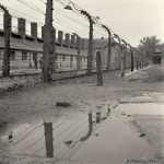 Auschwitz I, 2014